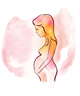 side view drawing of a pregnant woman